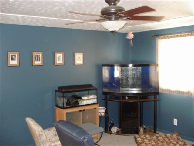 6717  N Fleming - Photo 5