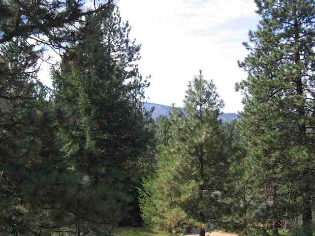 5317  S Cree Dr - Photo 9