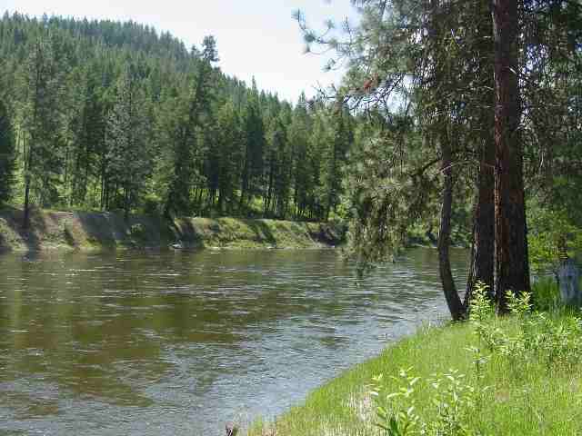 69 Paradise Cove - Photo 8