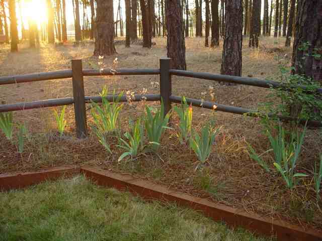 706  W Taylor Rd - Photo 8
