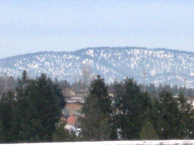 14411  W Deno Rd - Photo 4