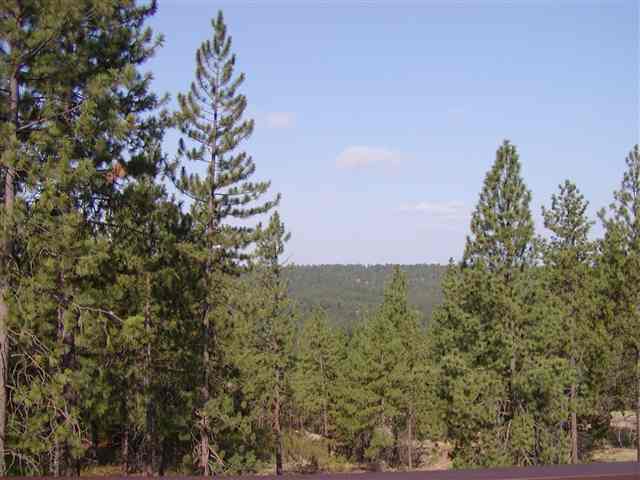 5714  S LAUREL CREST Ct - Photo 7