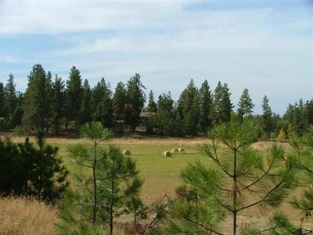 22910  S Parker Road - Photo 7