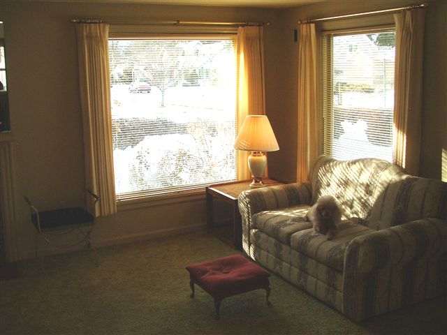 57  W 27th - Photo 4