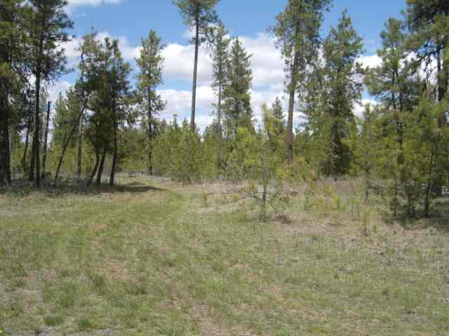 18023  S Hanson Pond Ln - Photo 7