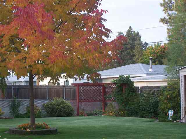 6915  N Calispel - Photo 9