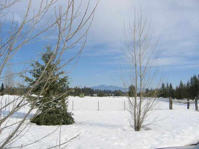 2510  W Blue Quail Ct - Photo 3