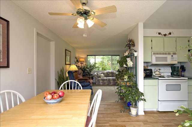 4704  N Darin Rd - Photo 4