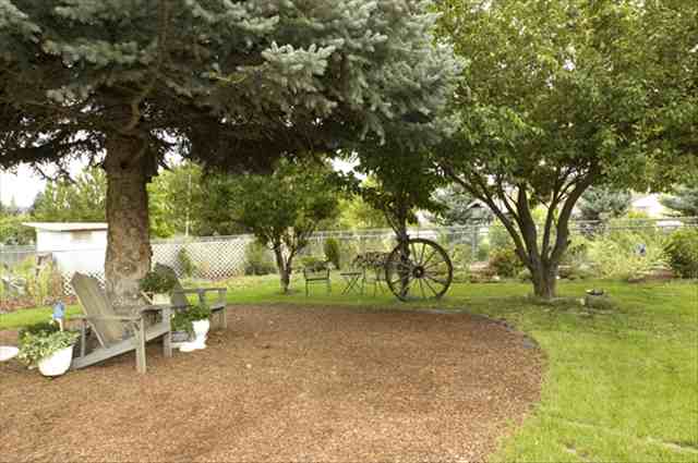 4704  N Darin Rd - Photo 8