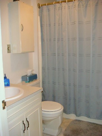 615 N ARNIM St - Photo 6