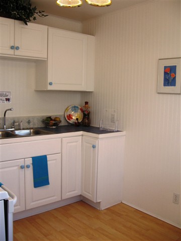 1303  E Hoffman Ave - Photo 6