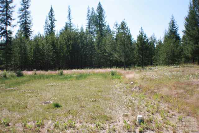 431 TWEEDIE Rd - Photo 8