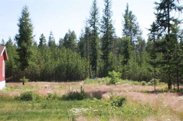 431 TWEEDIE Rd - Photo 9