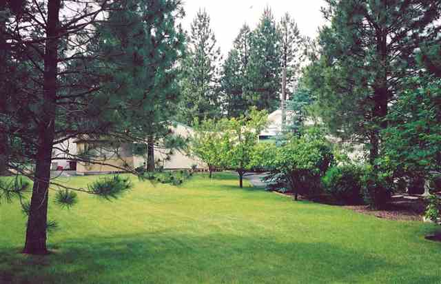10520  S Granite Dr - Photo 5