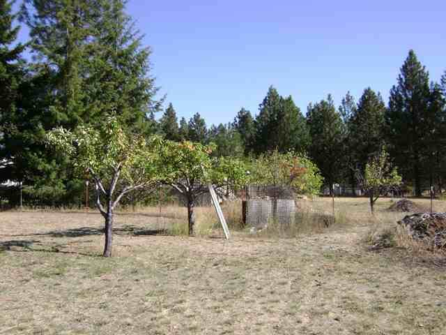 1823  W Pinto Rd - Photo 8