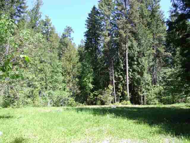 2829 Deep Lake Boundary R Rd - Photo 6