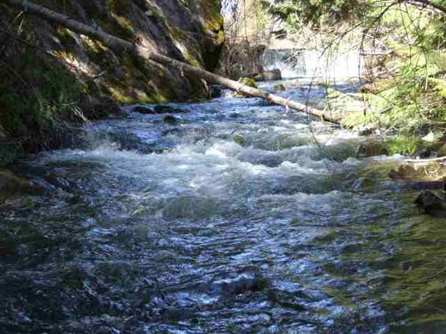 2829 Deep Lake Boundary R Rd - Photo 8