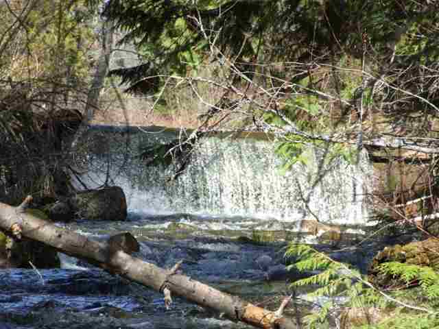 2829 Deep Lake Boundary R Rd - Photo 9