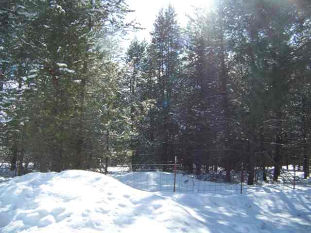 12 Skookum Meadows - Photo 5