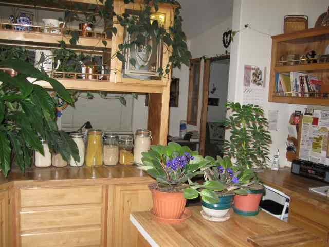 4590  N KEENAN Rd - Photo 5