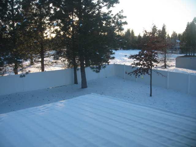 4902 E PATRICIA - Photo 9