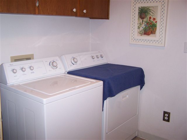 2424  W Bruce Ave - Photo 4