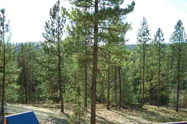 5555  S Cheney Spokane Rd - Photo 8