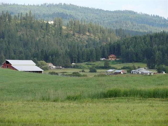 13518  E Peone Valley Ln - Photo 9