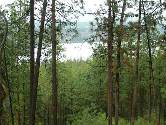 19405  N SOUTHBANK Rd - Photo 8