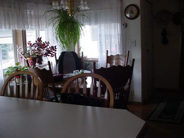 7800  E Alki #30 - Photo 5