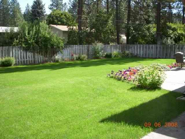 14502  N Nevada St - Photo 8