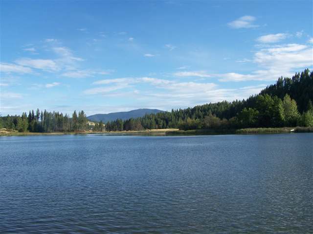 587 White Lake Way - Photo 8