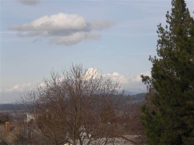 1018  E 15TH Ave - Photo 3