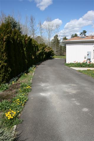 301 E MEADOWMERE Way - Photo 2