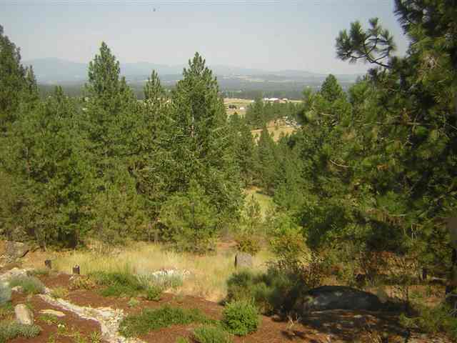 15717  N Hazard Rd - Photo 3