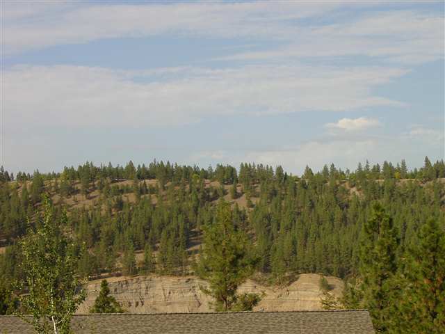 708  W Bolan Ave - Photo 9
