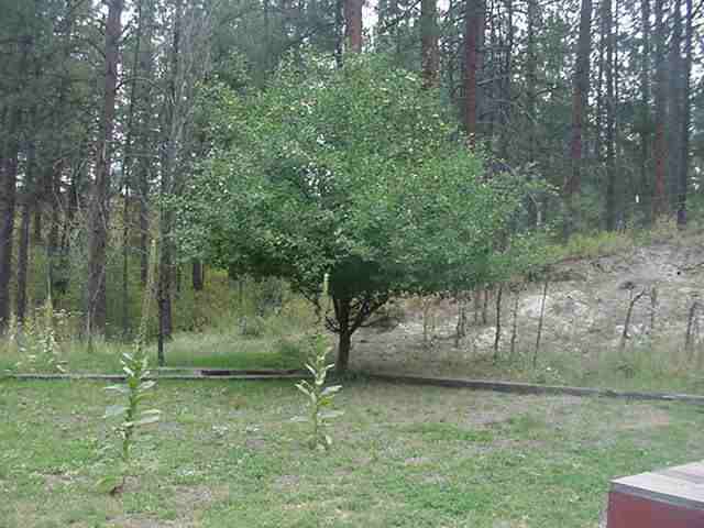 1045 Philleo Rd - Photo 2