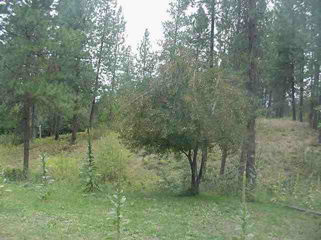 1045 Philleo Rd - Photo 3