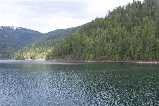 434 Bead Lake Drive - Photo 8