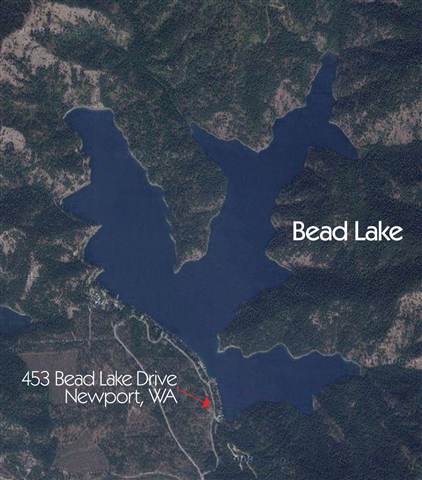 434 Bead Lake Drive - Photo 9