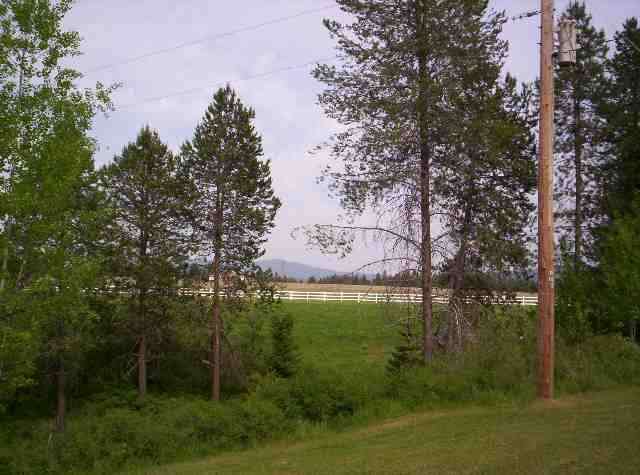 36606  N DUNN Rd - Photo 8