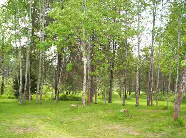 36606  N DUNN Rd - Photo 9