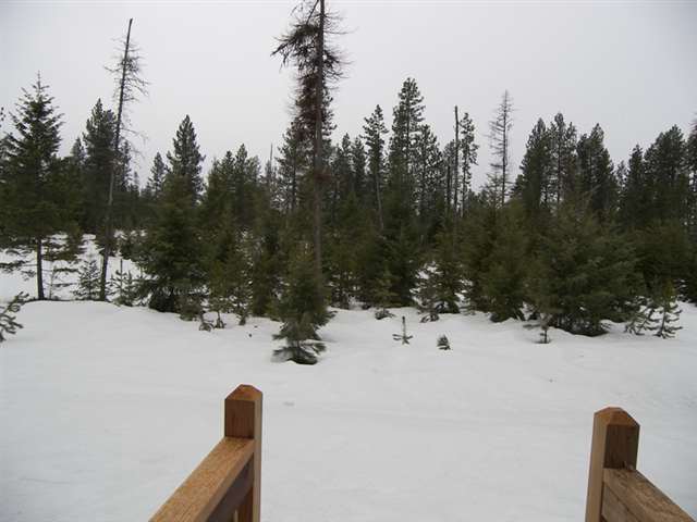 40507  N Running Deer - Photo 9