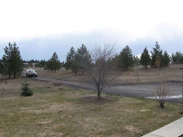 2305  N Sawbuck Ln - Photo 6