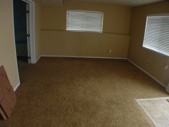 407  E PINE NEEDLE - Photo 5