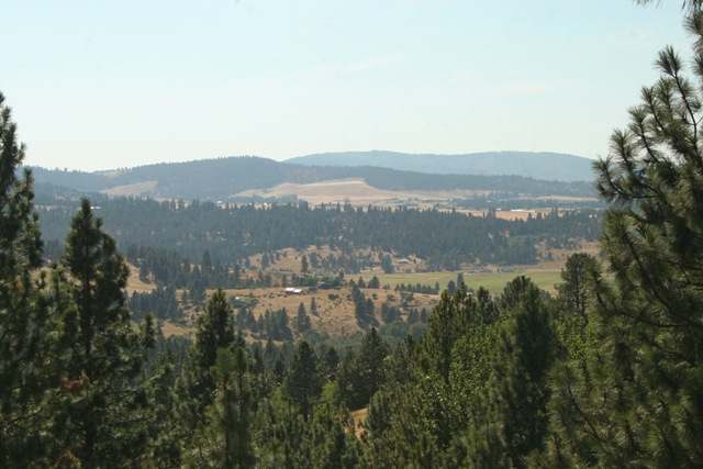 4114  S Quinimose Rd - Photo 9