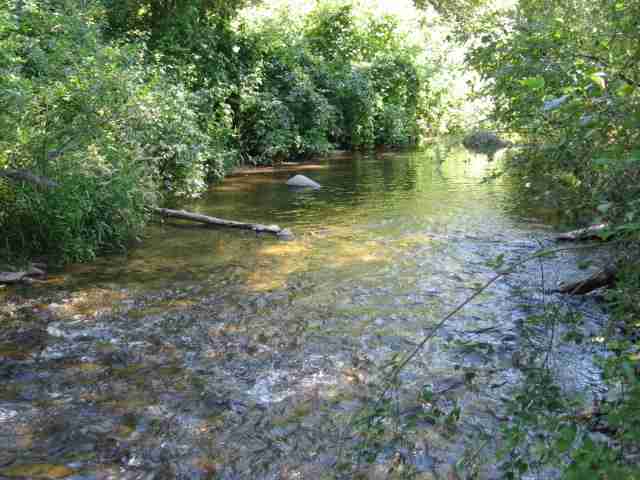 673 Pend Oreille Loop - Photo 7