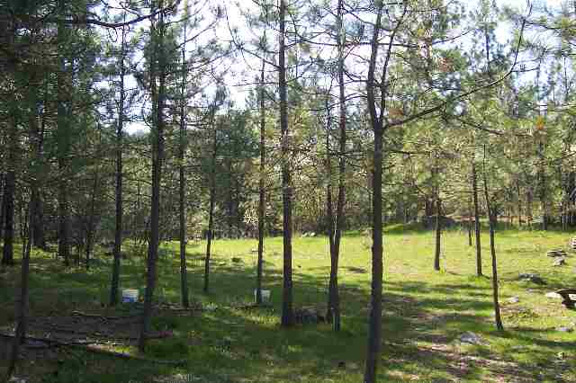 9810  E 24th Avenue - Photo 6