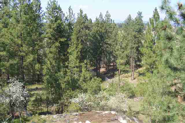 9810  E 24th Avenue - Photo 9