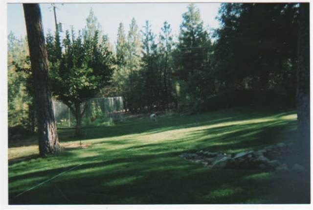 6816  E 14th Ave - Photo 9